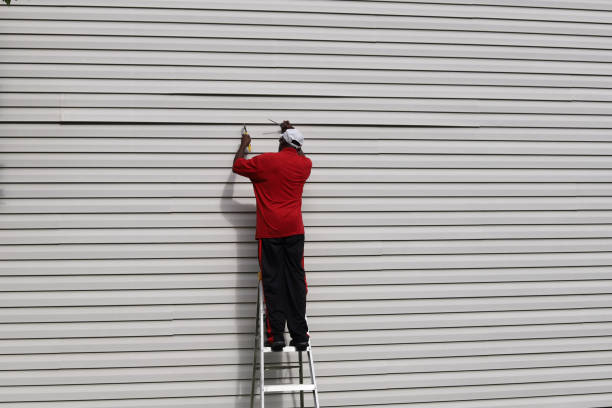 Best Wood Siding Installation  in Linden, TN