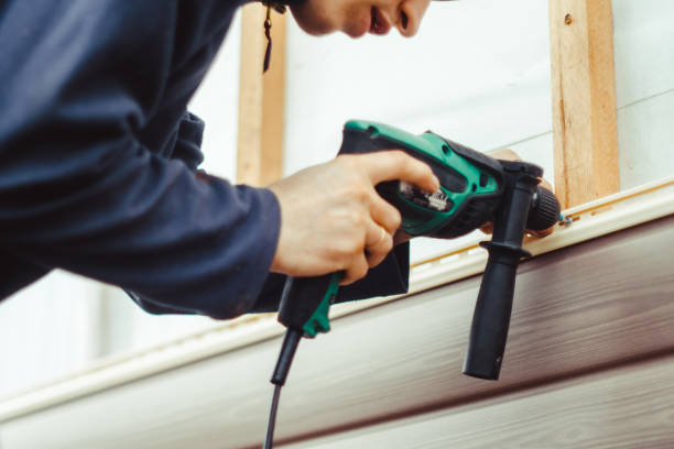 Best Custom Siding Design  in Linden, TN